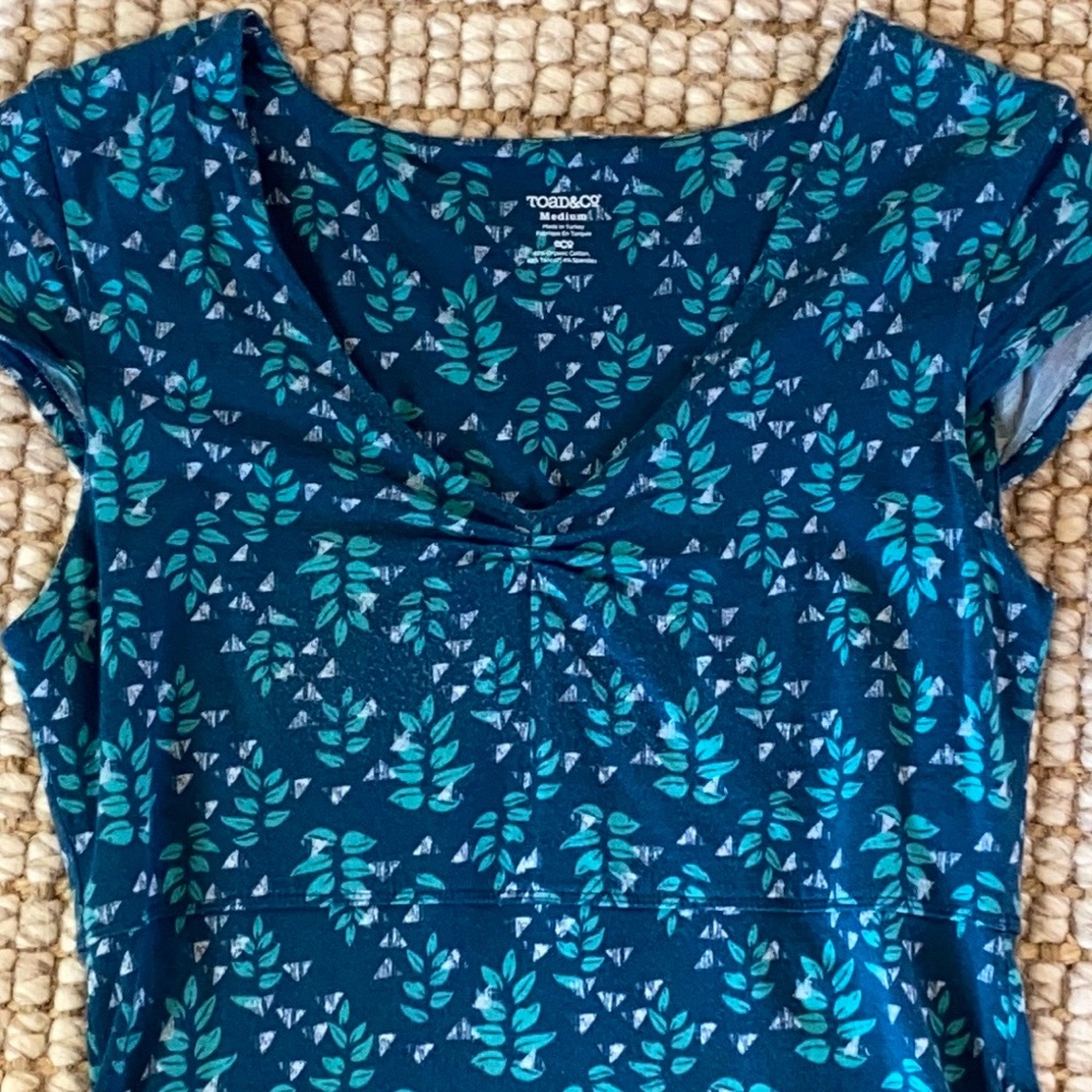 Toad & Co cotton print dress
